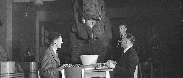 elephantstrategy1
